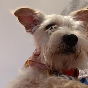 Meet your Posher, Diana